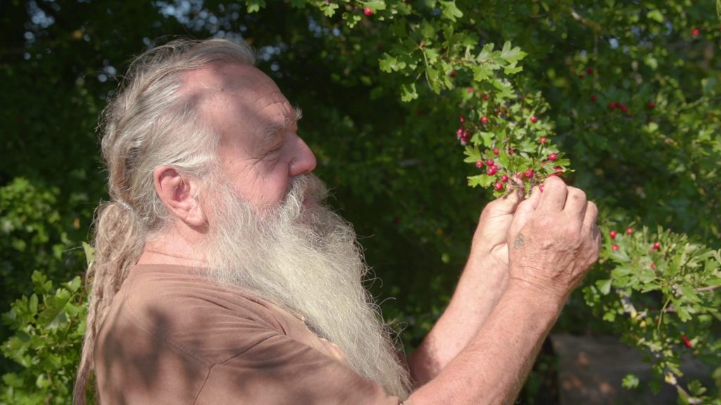 Wolf-Dieter Storl mit Weißdorn