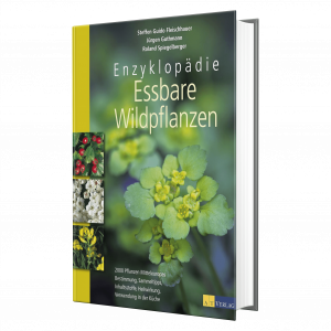 Essbare Wildpflanzen Enzy.