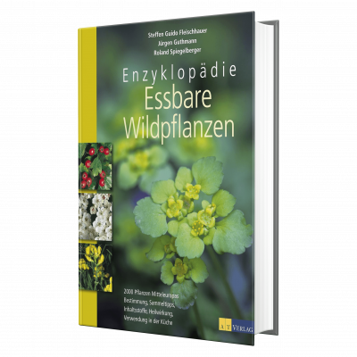 Essbare Wildpflanzen Enzy.