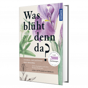 Was blüht den da