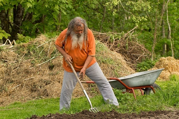 fruhling-storl-mein-gartenjahr