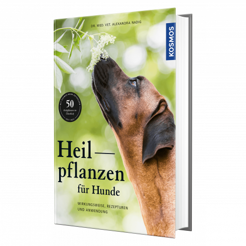 Heilpflanzen für Hunde