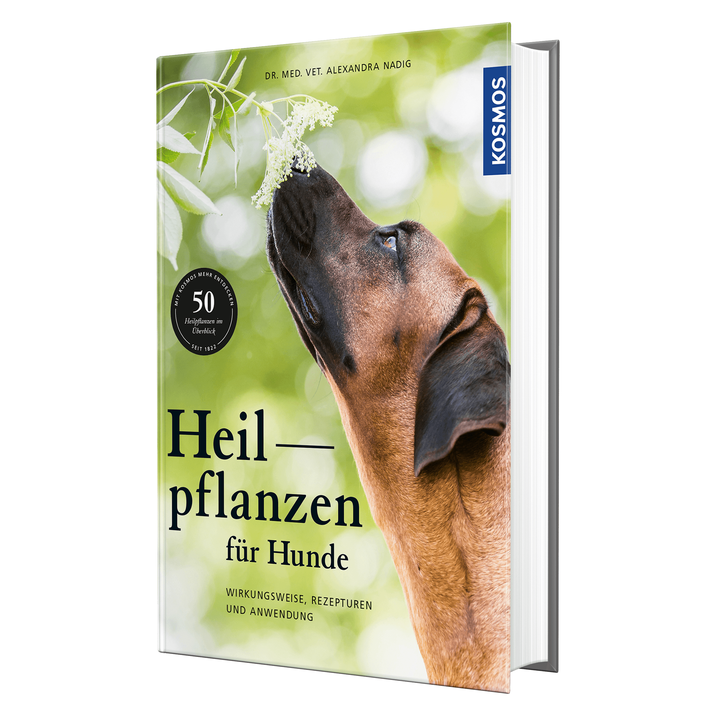 Heilpflanzen für Hunde