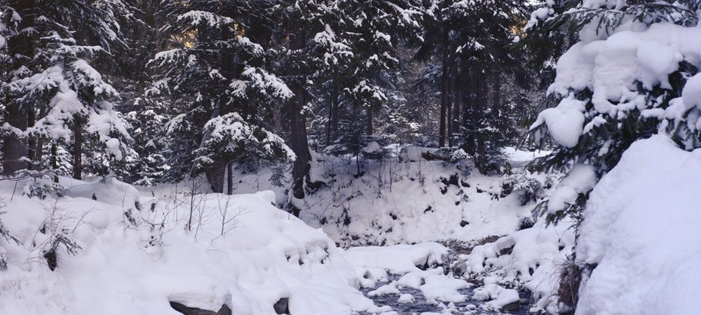 Schnee