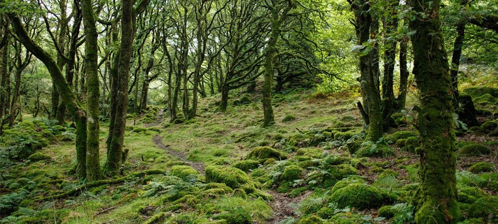 Artikel • storl.de