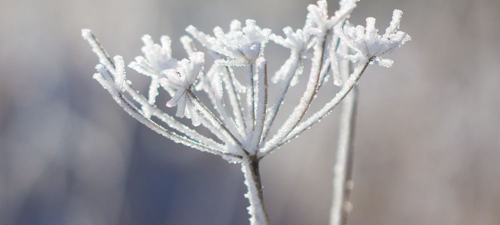 Winterbild Winterbild