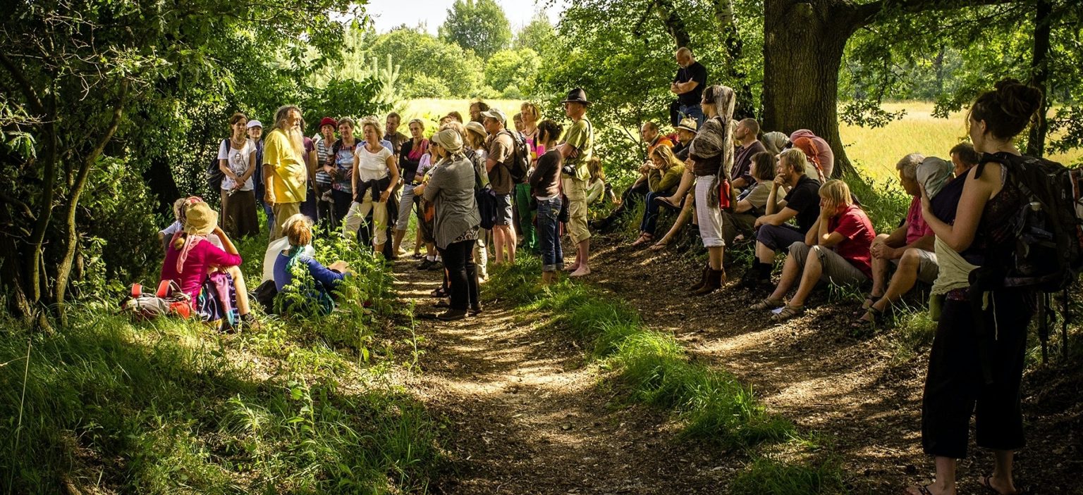 Ausbildungen • storl.de