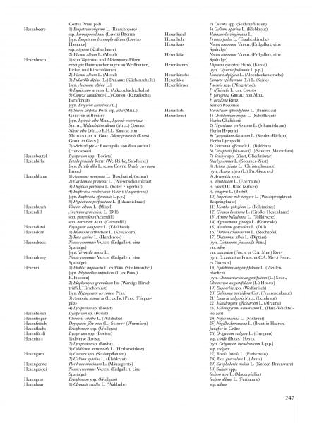 Hexenmedizin_Leseprobe_es_Seite_23