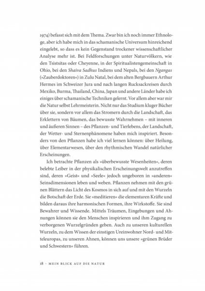 Leseprobe ich bin ein Teil des Waldes_Seite_17