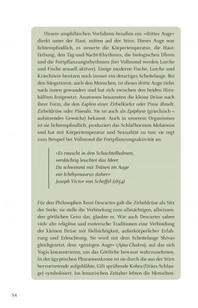 Leseprobe_Seite_12