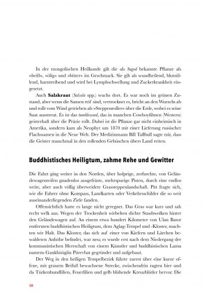 Wolfsmedizin_Look_Inside_Seite_09