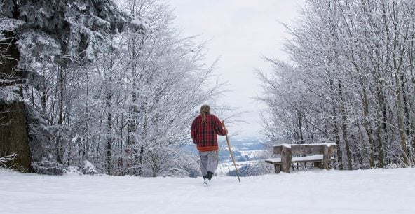 Wolf-Dieter Storl im Winter