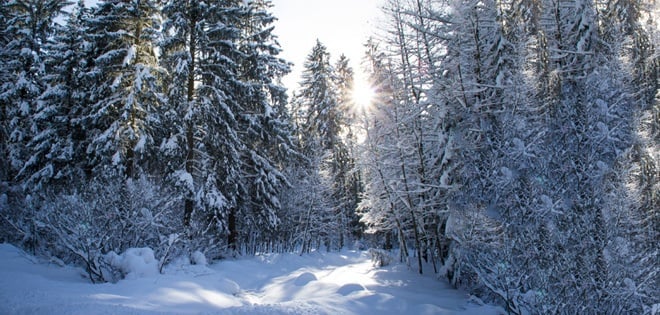 Winter im Allgäu