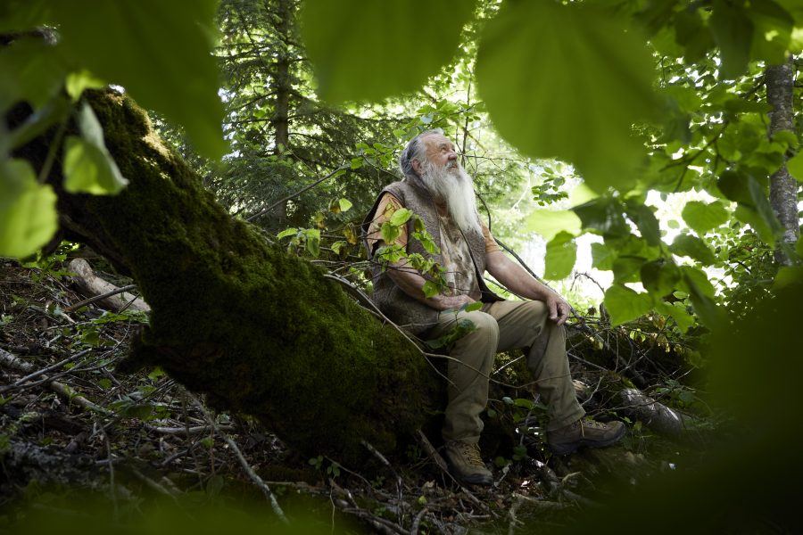 Artikel • storl.de