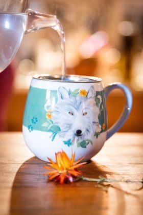 teetasse-stimmungsfotos-4