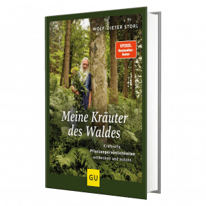 Meine Kräuter des Waldes Wolf Dieter Storl