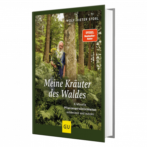 Meine Kräuter des Waldes Wolf Dieter Storl