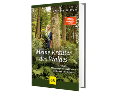 Meine Kräuter des Waldes