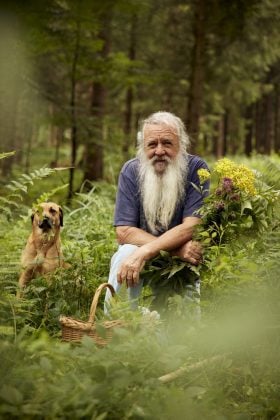 Die Geheimnisse der Waldkräuter