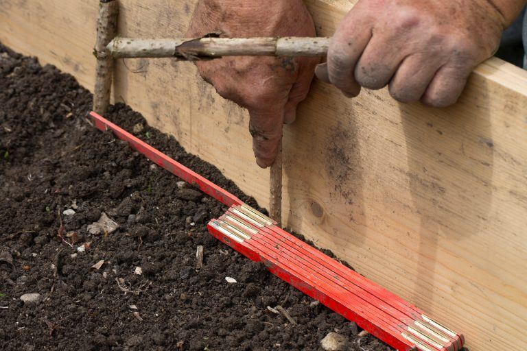 Das Gartenjahr beginnt