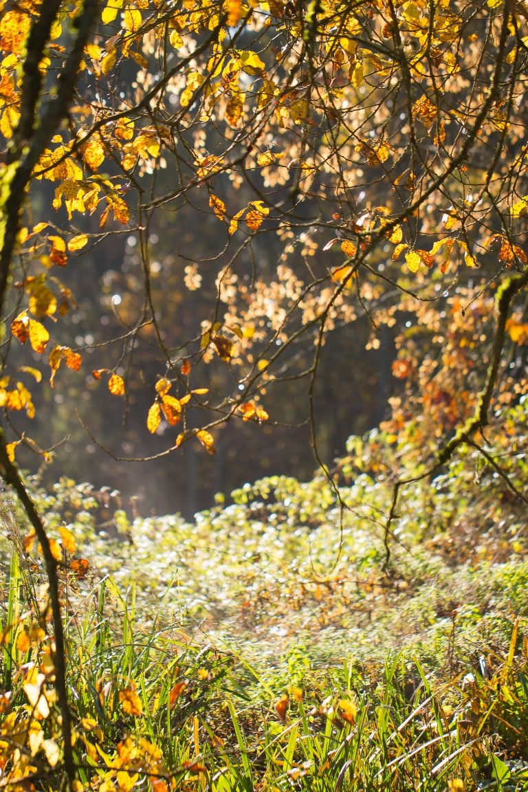 November