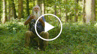 Zum Video