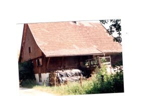 Haus-mit-Holzstapel