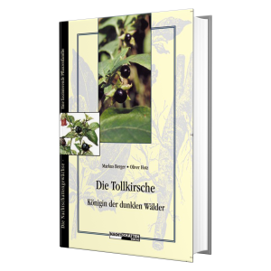 Die Tollkirsche - Königin der dunklen Wälder