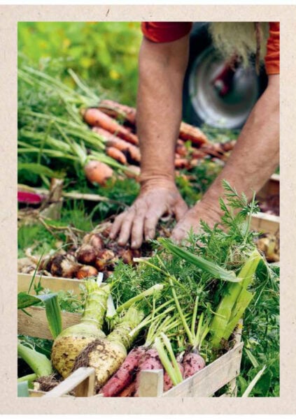 Leseprobe Gartenkalender 25_Seite_01