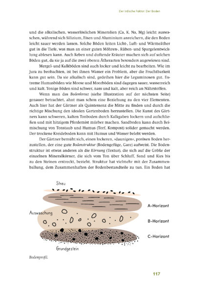 Der Kosmos im Garten Leseprobe - konvertiert_Seite_14