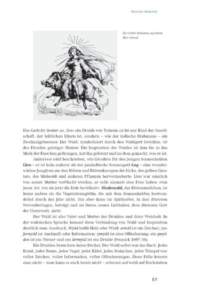 Pflanzen_der_Kelten_ES_Leseprobe_Seite_09