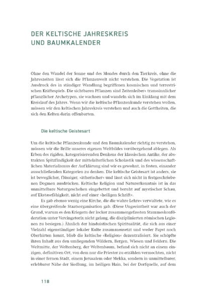 Pflanzen_der_Kelten_ES_Leseprobe_Seite_12