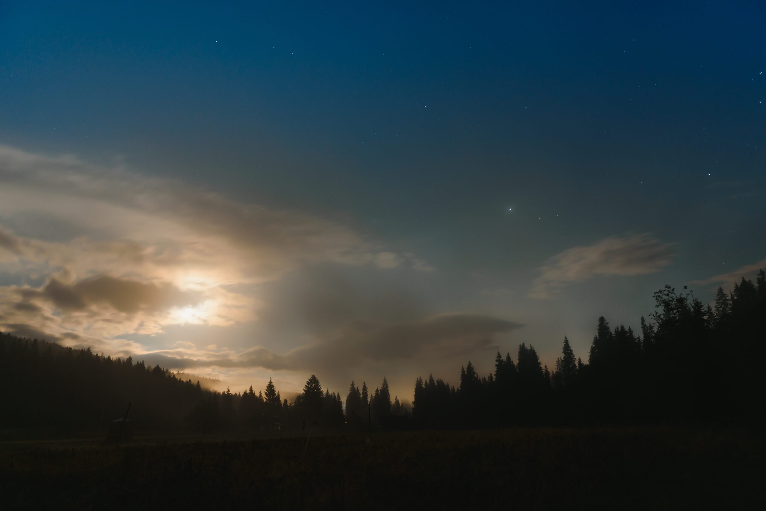 Forest against the background of the starry sky in the Carpathian mountains