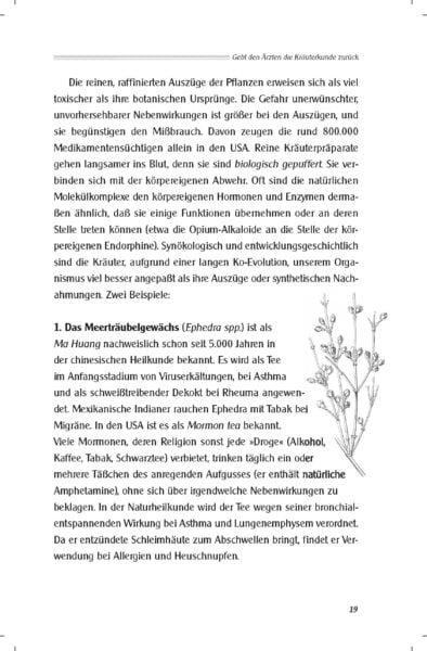 neu_Kräuterkunde 1c_Seite_19