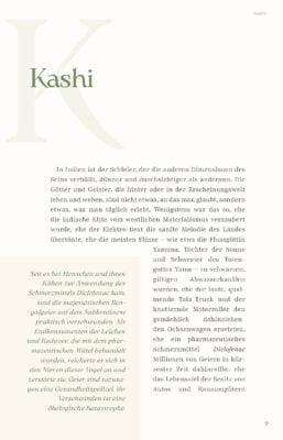 Leseprobe Tanz der Täuschung _Seite_08