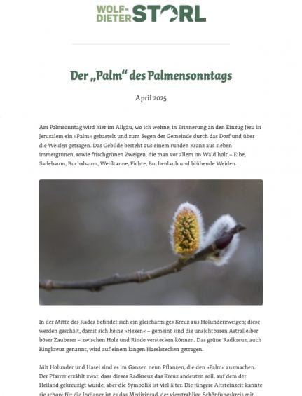 Der Palm der Palmensonntags