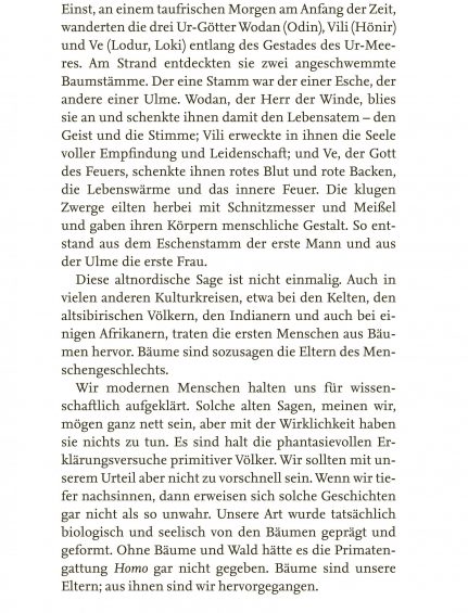 Leseprobe_Seite_11