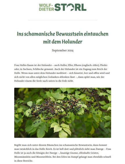 Newsletter Sep24